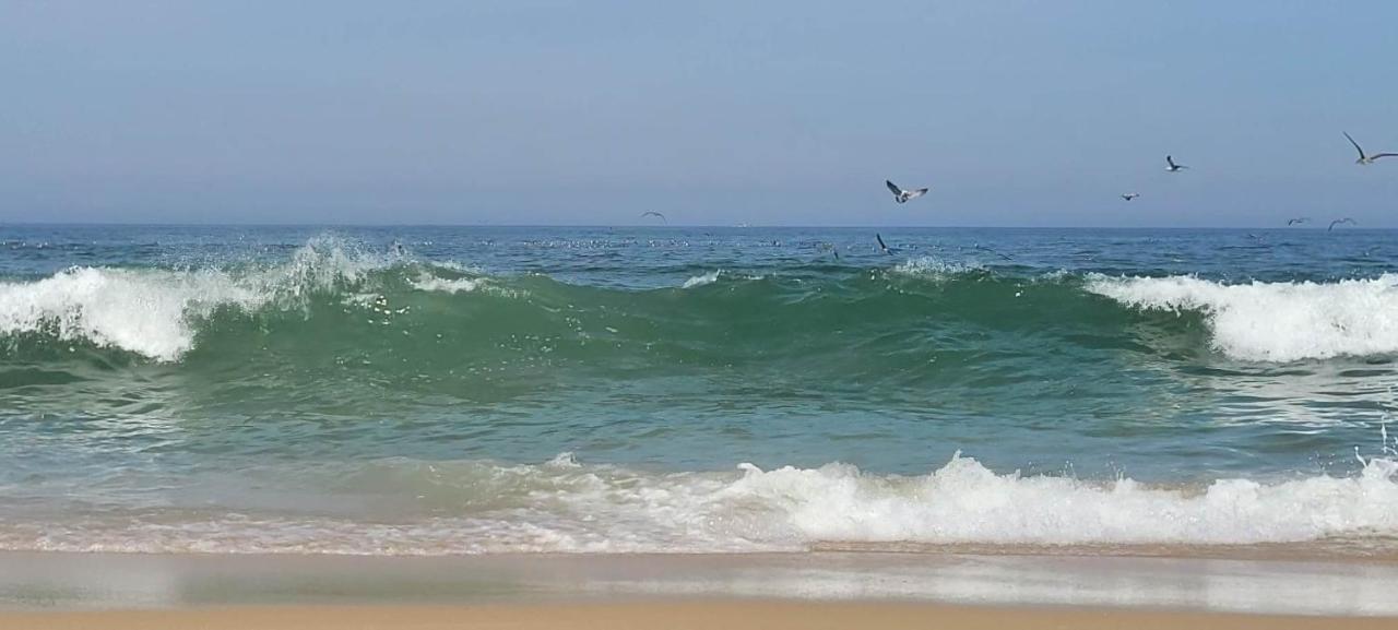 Casa Da Mata Βίλα Praia de Mira Εξωτερικό φωτογραφία