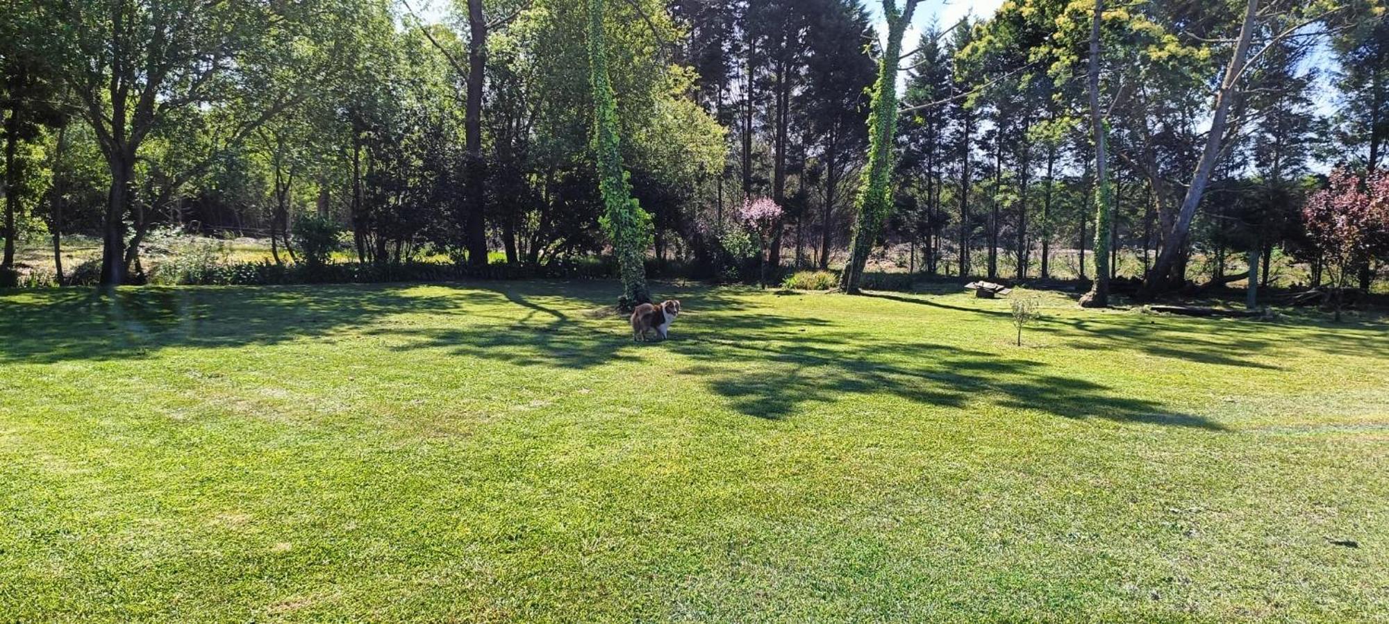 Casa Da Mata Βίλα Praia de Mira Εξωτερικό φωτογραφία
